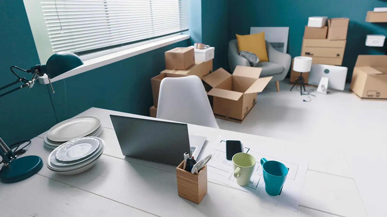 Full-service removal for homes, businesses, and properties throughout Colorado.
